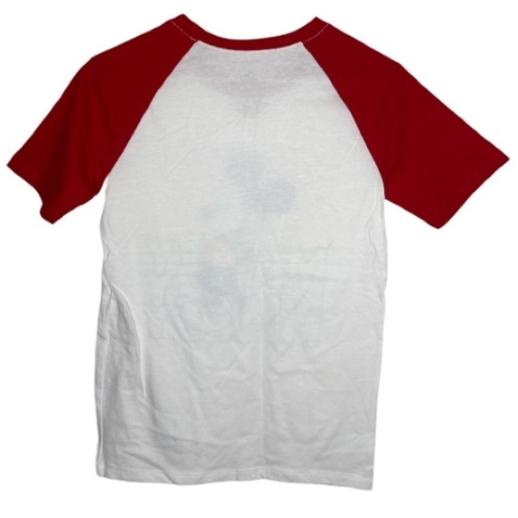 Disney MICKEY MOUSE PRIDE Collection T-shirt LARGE - Picture 2 of 5